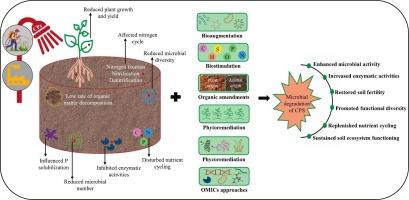 Effects of chlorophenols on microbial activity and functional diversity: Recent advances in OMICs approaches and soil microbial remediation