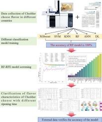 Machine learning and GC–MS revealing the characteristic flavour compounds of Cheddar cheese origin-independent at different ripening periods