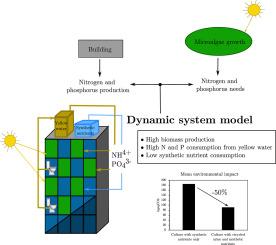 Model system for recovering nitrogen and phosphorus from yellow water to supply a microalgae culture on a building facade