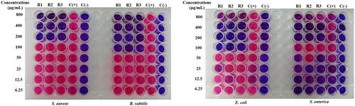 Antibacterial and Antifungal Activities of Musa balbisiana Parts