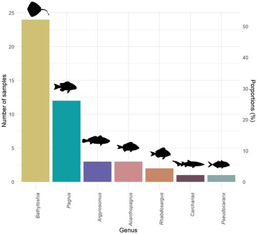 Isolation and Genetic Identification of Metazoan Cells From Seawater