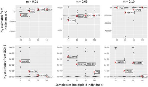 Effective Population Size Estimation in Large Marine Populations: Considering Current Challenges and Opportunities When Simulating Large Data Sets With High-Density Genomic Information
