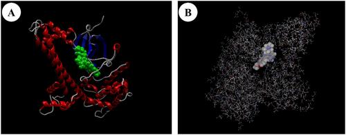 Quantitative Structure–Activity Relationship Modeling and Molecular Docking Studies of TgCDPK1 Inhibitors in Toxoplasma gondii