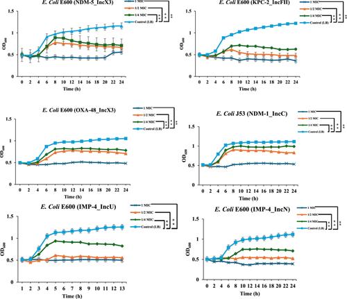 Study on Antibacterial Activity of Water Extract of Galla chinensis Against Carbapenemase-Producing Enterobacteriaceae