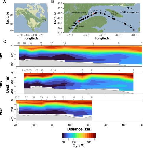 New Deoxygenation Threshold for N2 and N2O Production in Coastal Waters and Sediments