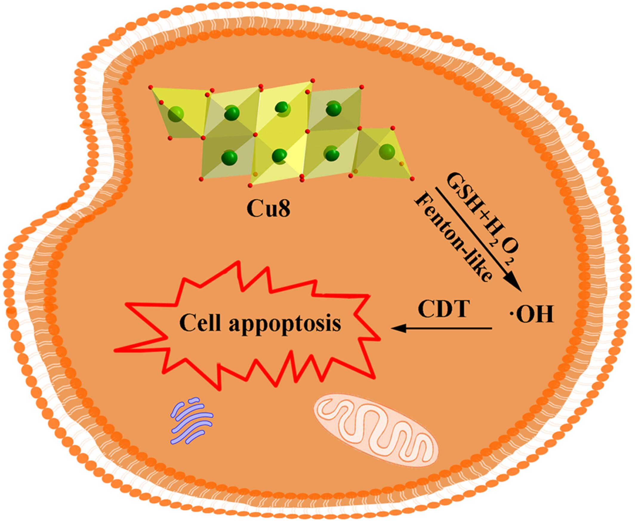 Atomically Precise Octanuclear Cu(II) Complex With [Ph2PO2]− for Chemodynamic Therapy