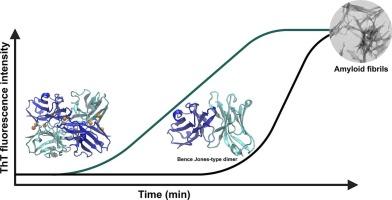 Role of Zn(II) in the aggregation of the 6aJL2R24G protein: Experimental and theoretical approach