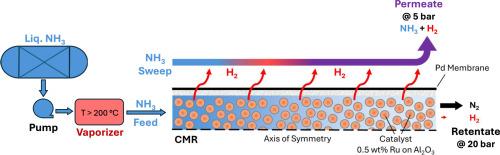 Production of hydrogen and H2/NH3 mixtures from ammonia at elevated pressures in a catalytic membrane reformer
