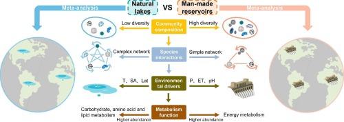 Reservoirs enhance bacterial diversity but destabilize microbial co-occurrence network compared to natural lakes: A global meta-analysis