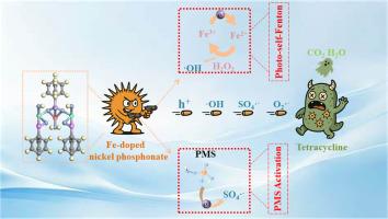 Boosting tetracycline degradation via synergistic photo-self-Fenton/peroxymonosulfate activation using sea-urchin-like iron-doped nickel phosphonate catalysts