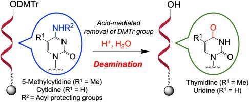 Effects of acid-mediated deamination of cytidine and 5-methylcytidine on solid-phase synthesis of oligonucleotides