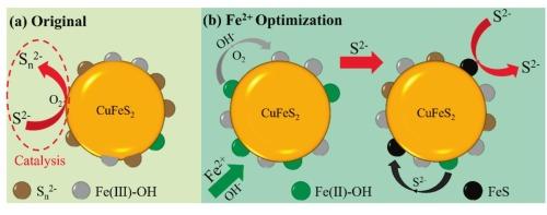 Ferrous ions in enhancing chalcopyrite-molybdenite flotation separation: Insights from solution chemistry and interfacial adsorption
