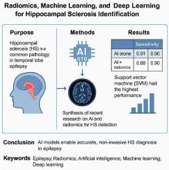 Radiomics, machine learning, and deep learning for hippocampal sclerosis identification: a systematic review and diagnostic meta-analysis