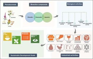 Pseudocereals for modern diets: Multifunctional grains with superior bioactive properties, nutraceutical potential, and diverse industrial applications