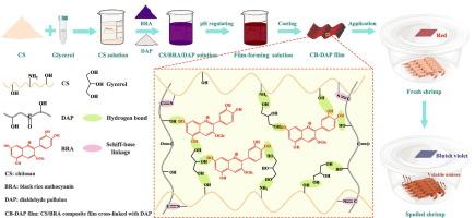 Fabrication of chitosan/black rice anthocyanin composite films cross-linked with dialdehyde pullulan for shrimp freshness indicating