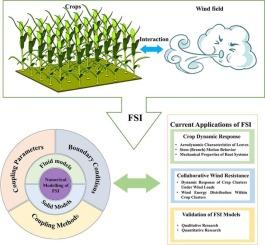Modelling and application of fluid-structure interaction in the study of wind fields and crops interaction: A review