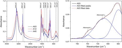 Cellulose-producing acetic acid bacteria from corozo fruit (Bactris guineensis): isolation and characterization