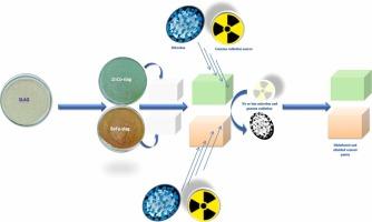 Multifunctional cement pastes with ZnO.CoO and barium ferrite core-shell nanostructures: mechanical, antimicrobial, and radiation shielding properties