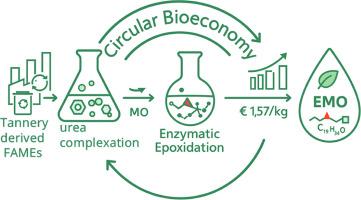 Valorization of tannery-derived FAMEs into bio-based epoxides via chemo-enzymatic synthesis