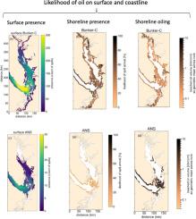 A statistical representation of oil spill fate in the Salish Sea (Part 2)