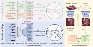 Rethinking data imbalance in class incremental surgical instrument segmentation