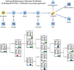 Prognosticating salvage stereotactic radiosurgery outcomes in relapsed primary central nervous system lymphoma: A machine learning-driven decision tree analysis