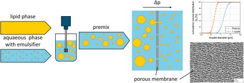 Exploring the influence of the nanoporous structure of nickel-based superalloy membranes on emulsification performance