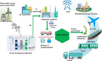 A green ammonia utilization pathway: Integrated ammonia-solid oxide fuel cell systems for efficient power generation
