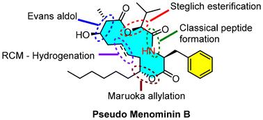 Stereoselective total synthesis of cytotoxic cyclodepsipeptide menominin B: call for revision of the proposed structure†