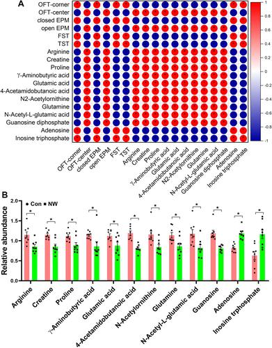 Arginine Metabolism and Adenosine Receptor Signals in the Cerebellum Contribute to Nicotine Withdrawal-Induced Anxiety/Depression-Like Behaviours