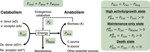 Investigating the Atmospheric Microbial Ecosystem Through Theory, Bioenergetics, and Numerical Modeling: A Breath of Fresh Air for Aeromicrobiology