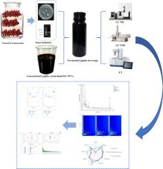 Effects of Zygosaccharomyces rouxii on metabolites and volatile substances during the fermentation of jujube beverage based on LC-MS, HS-GC-IMS and ET analysis