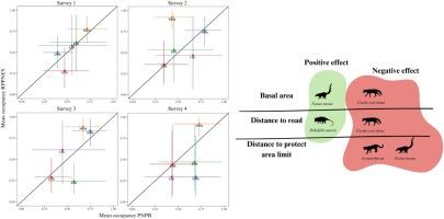 Heterogeneity in mesocarnivore occupancy highlights the complexity of biodiversity changes in a threatened ecoregion
