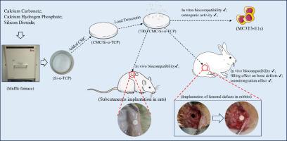 Preparation and osteogenic performance study of troxerutin-loaded carboxymethyl cellulose/Si-calcium phosphate cement composite bone cement