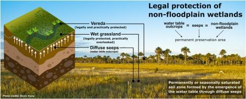 Legally protected, practically overlooked: The neglect of diffuse seeps in the conservation of Cerrado non-floodplain wetlands