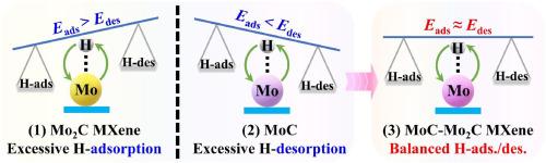 Work-function-engineered Mo 4d electronic structure modulation in Mo2C MXene cocatalyst for efficient photocatalytic H2 evolution