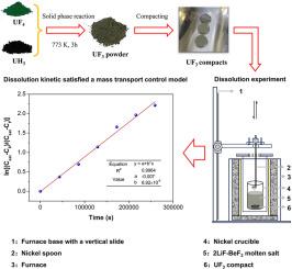 Solubility and dissolution kinetics of uranium trifluoride in 2LiF-BeF2 molten salt