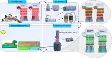 Comprehensive study of pollution removal from landfill leachate with emphasis on phenolic compounds and heavy metals using non-thermal plasma technology