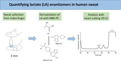 Quantification of lactate enantiomers in human sweat samples using two-dimensional liquid chromatography