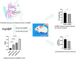 HqHBP, a histamine-binding protein derived from the hard tick Haemaphysalis qinghaiensis, alleviates xylene-induced mice skin edema