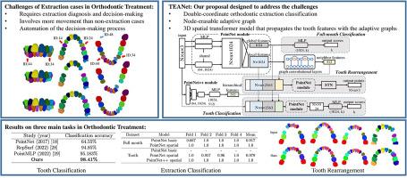 TEANet: Automated tooth extraction and arrangement with tooth-level graph spatial transformation network