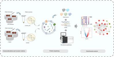 Profiles of extracellular vesicle shutter proteins from Chlamys farreri stimulated by lipopolysaccharide