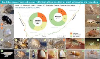 Sandy beach ecosystem and species red listing highlight priorities for beach conservation and restoration