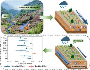 Straw checkerboard barriers enhance heavy metals stabilization efficiency of artificial plant communities in lead‑zinc mine wastelands