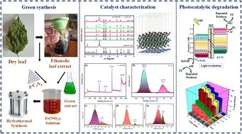 Nyctanthes arbor-tristis L. mediated sustainable synthesis of α-Fe2O3/g-C3N4 S-scheme heterojunctions for enhanced photocatalytic degradation of tetracycline hydrochloride: a mechanistic insight and DFT study†