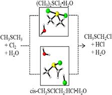 A study of the atmospherically relevant reaction between dimethyl sulphide (DMS) and Cl2 in the absence and presence of water using electronic structure methods†