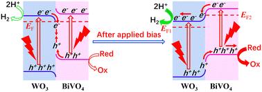 Efficient photoelectrocatalytic performances using a WO3/BiVO4 heterojunction photoanode: applied bias-promoted photoinduced charge transfer and separation†