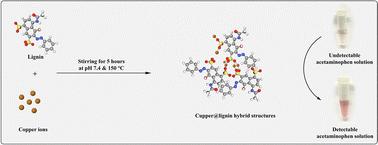 Synthesis and characterization of lignin–copper nanohybrids for colorimetric acetaminophen detection: a combined physical chemistry and machine learning study†