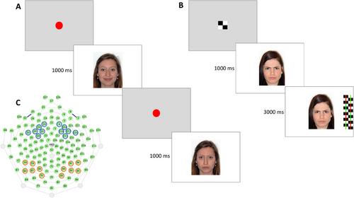Exploring Associations Between Infant Attachment, Maternal Sensitivity, and Attention to Maternal Emotion Expressions