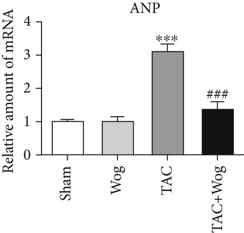 Corrigendum to “Wogonin Inhibits Cardiac Hypertrophy by Activating Nrf-2-Mediated Antioxidant Responses”